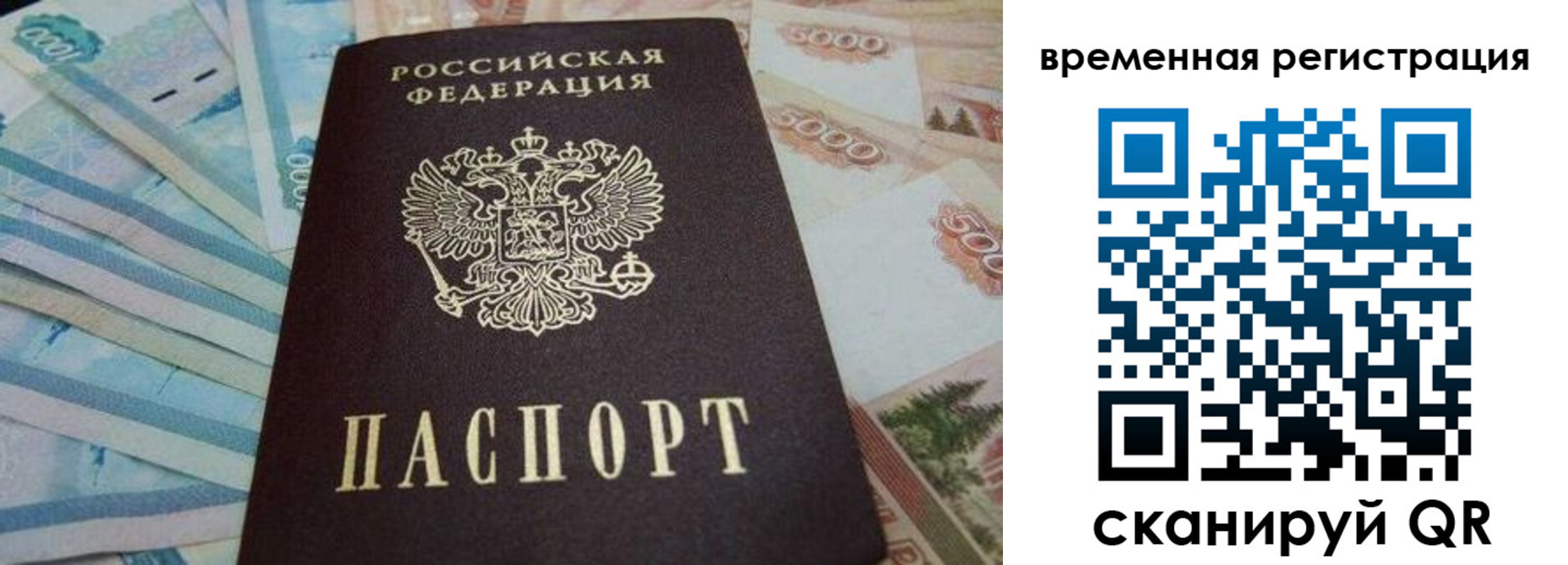 временная регистрация гарантия в Ржеве